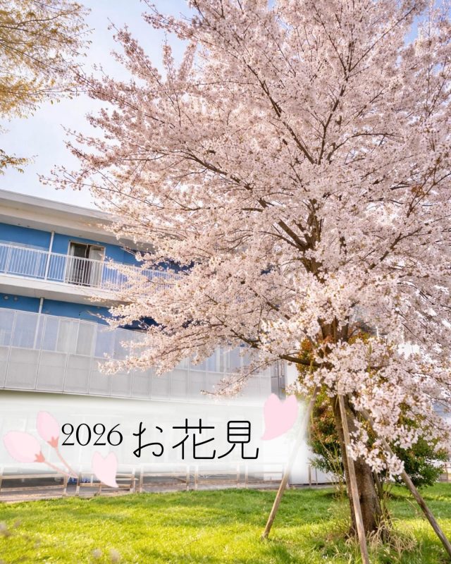 🌸お花見のひととき🌸
満開の桜に包まれて、春の訪れを感じる穏やかな時間。
自然と笑顔がこぼれる、あたたかな一日になりました。
季節を感じる時間を、これからも大切にしていきます。

#採用 #介護職 #老人ホーム #お花見